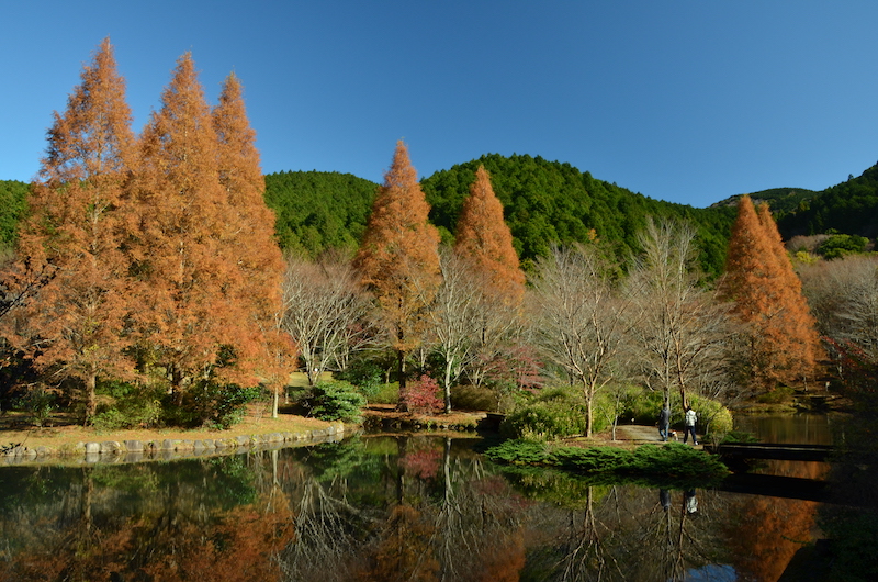 Hatake Hot Spring