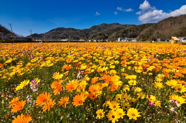 Ishibu Beach