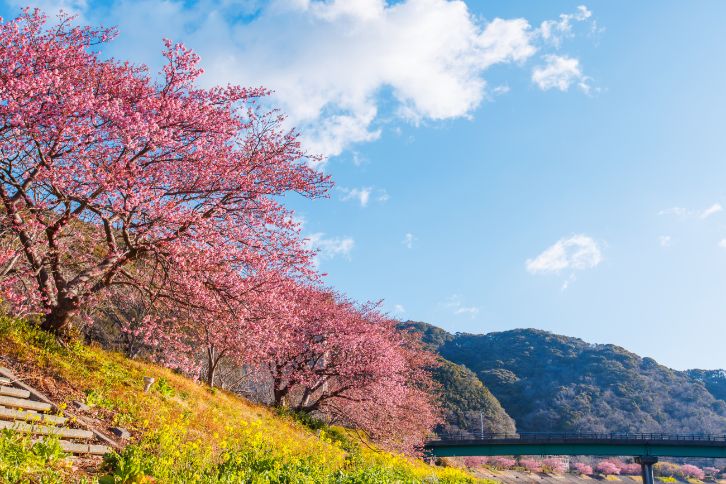 公路休息站-下賀茂温泉湯之花