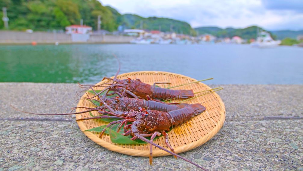 公路休息站-下賀茂温泉湯之花