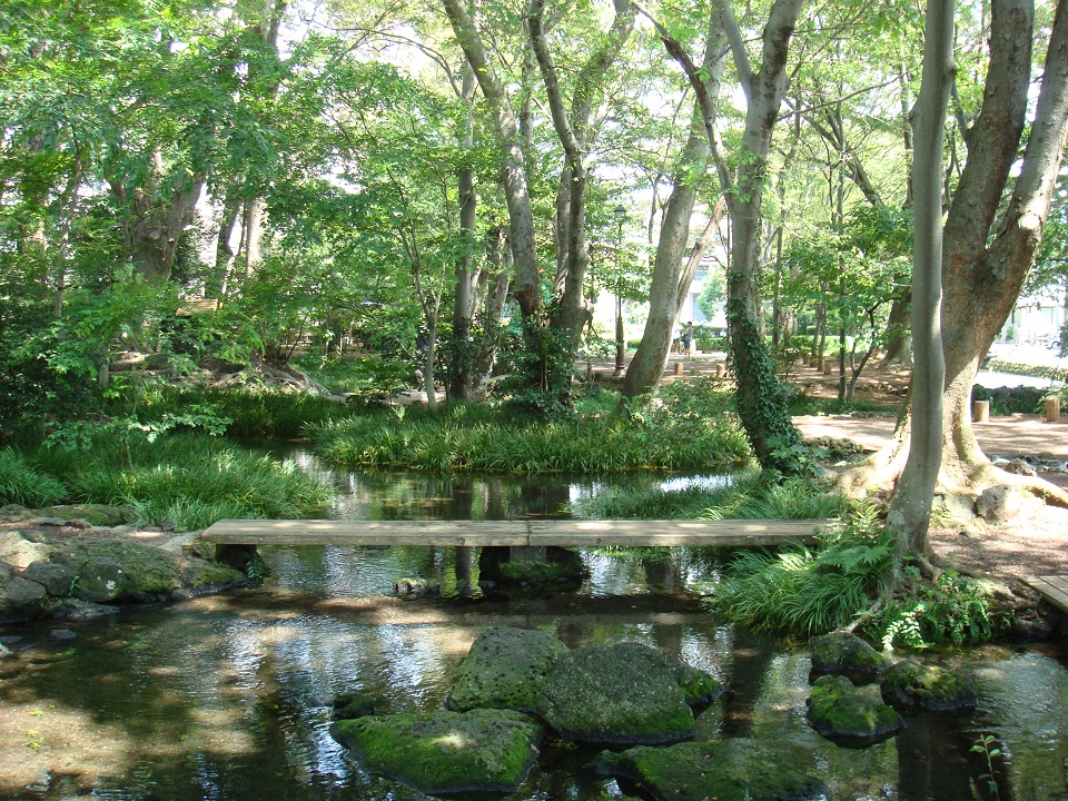 Shirataki Park