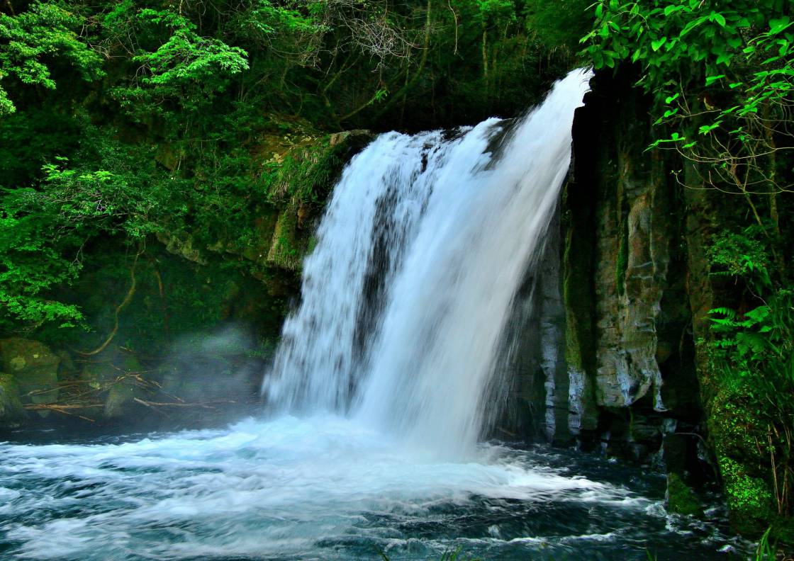 Odoriko Onsen Kaikan