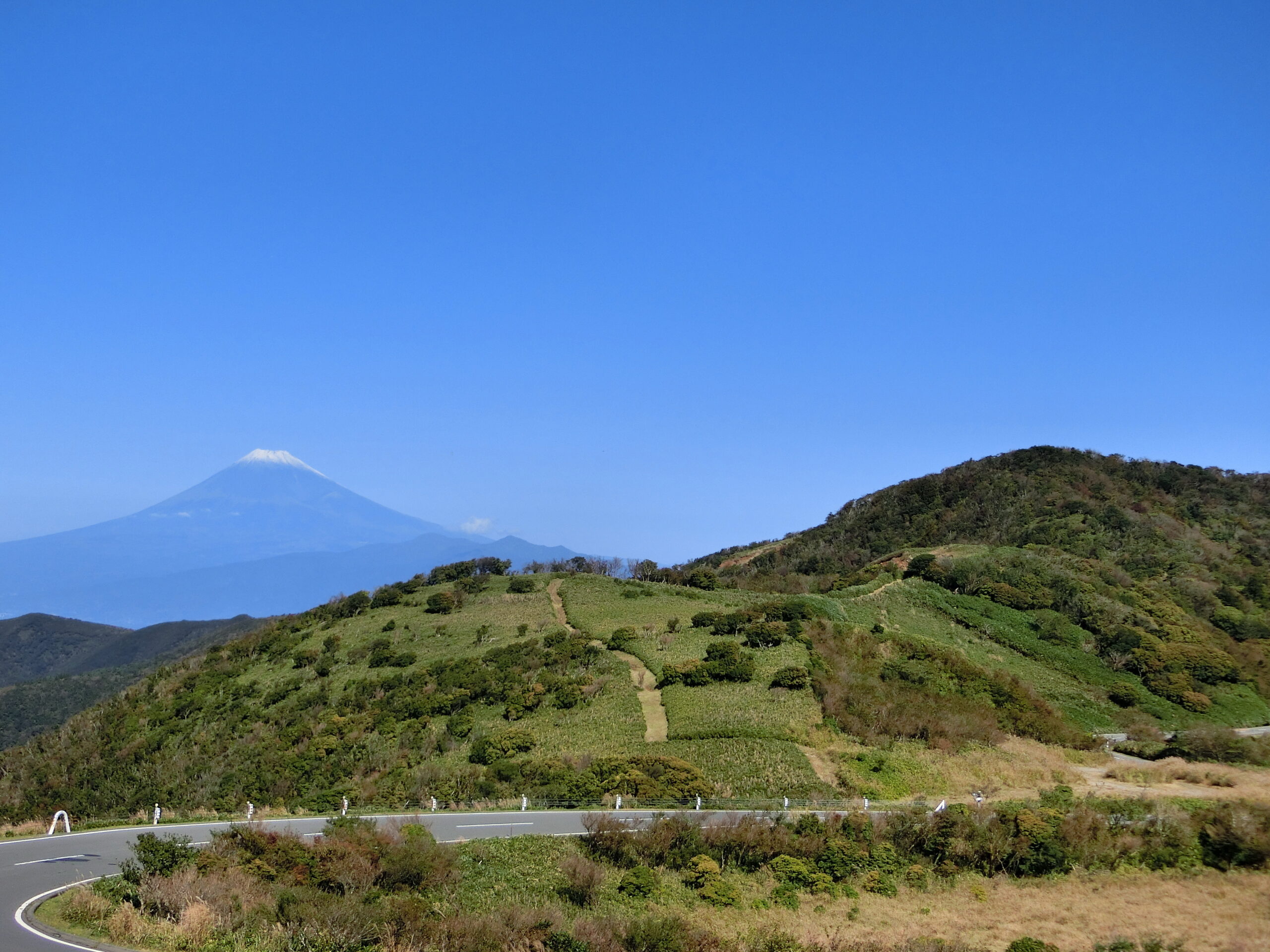 達磨山