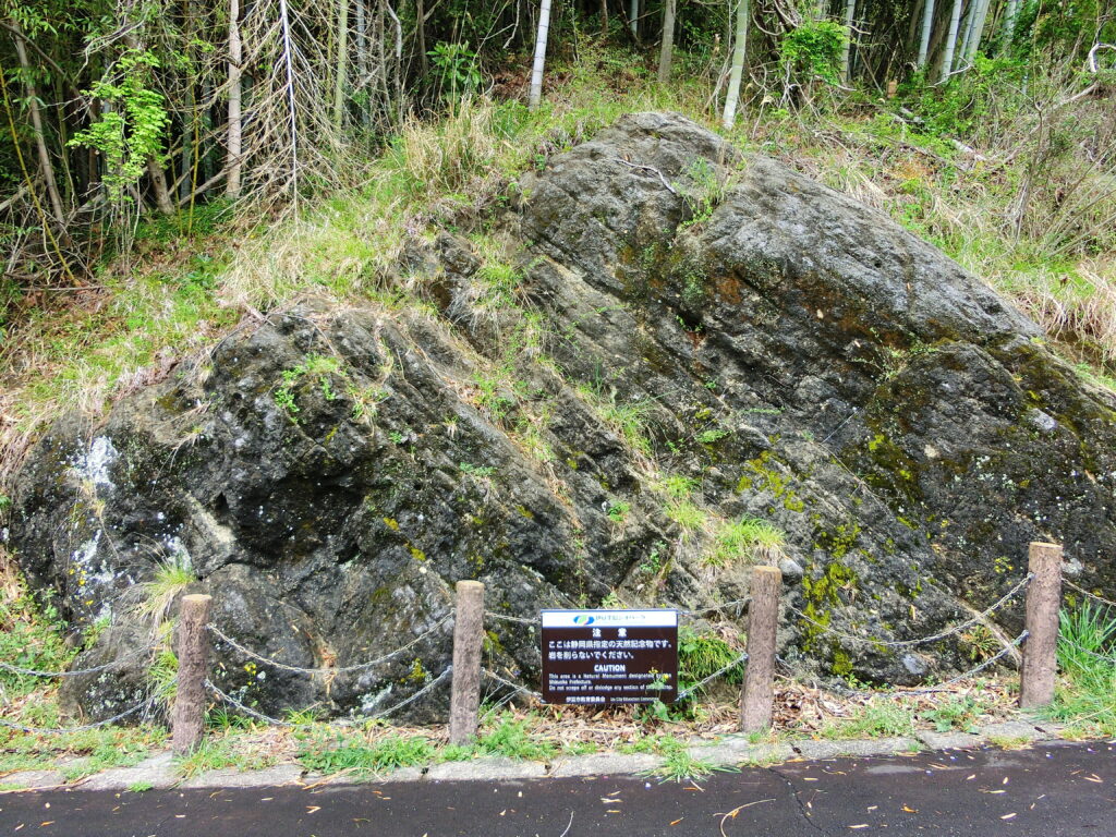 【伊豆半島ジオパーク・ジオサイト】下白岩のレピドシクリナ化石産地