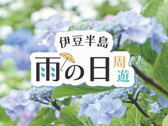 雨の日でも楽しめる施設を紹介 伊豆半島雨の日周遊パンフレット をリニューアル ニュース 伊豆観光公式サイト 美伊豆 B Izu