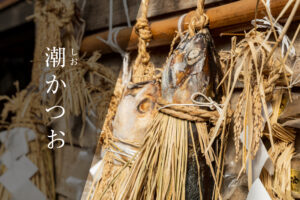 伝統の保存食「潮かつお」伊豆半島の海の恵みと歴史