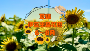 伊豆半島花暦　夏編（6～8月）