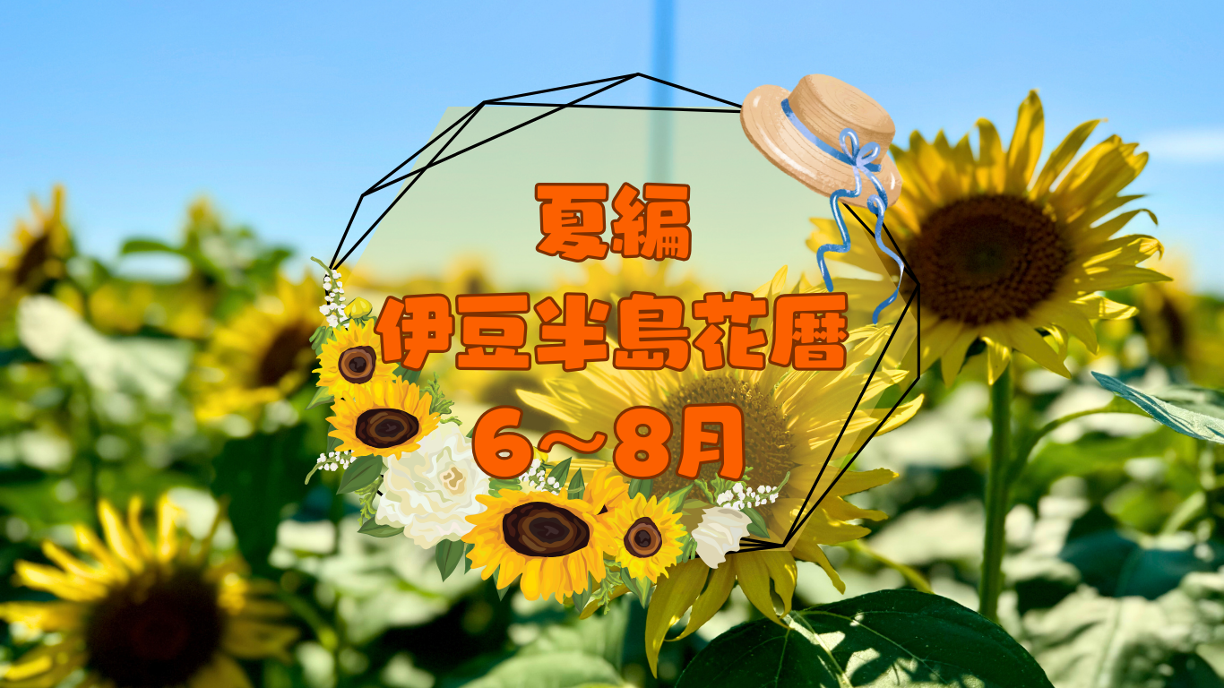 伊豆半島花暦　夏編（6～8月）