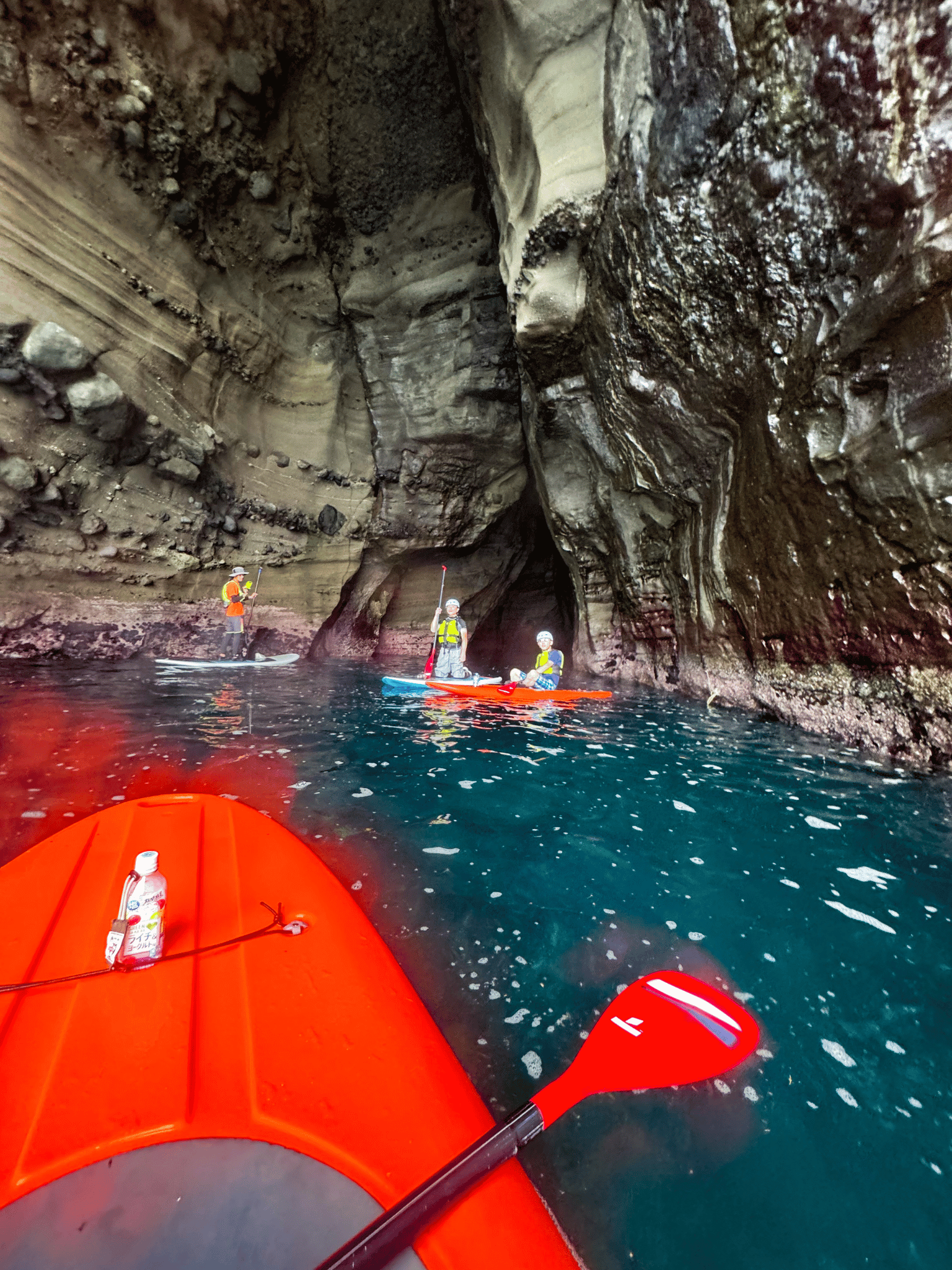 " width="1536" height="2048