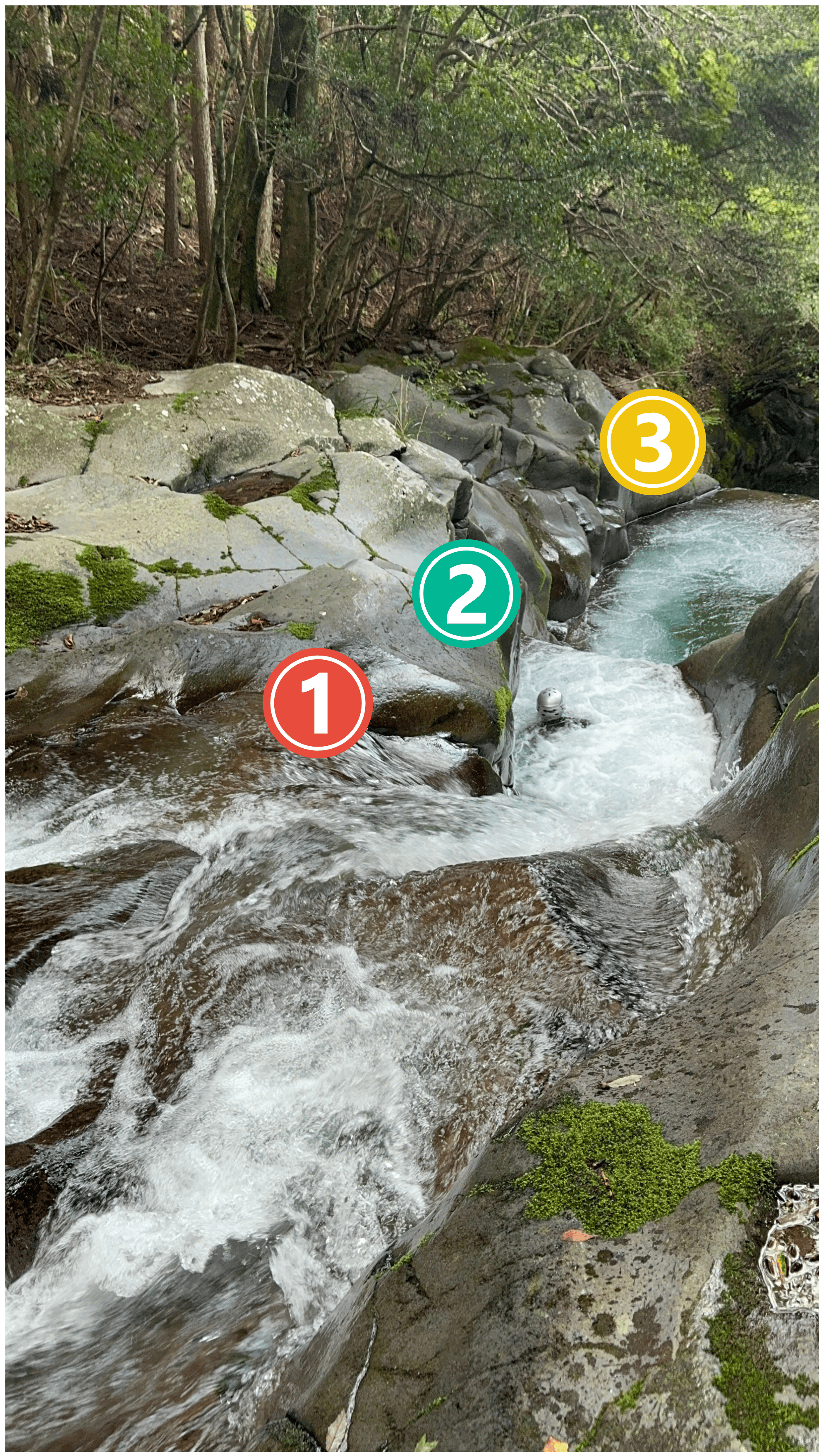 " width="1980" height="3520