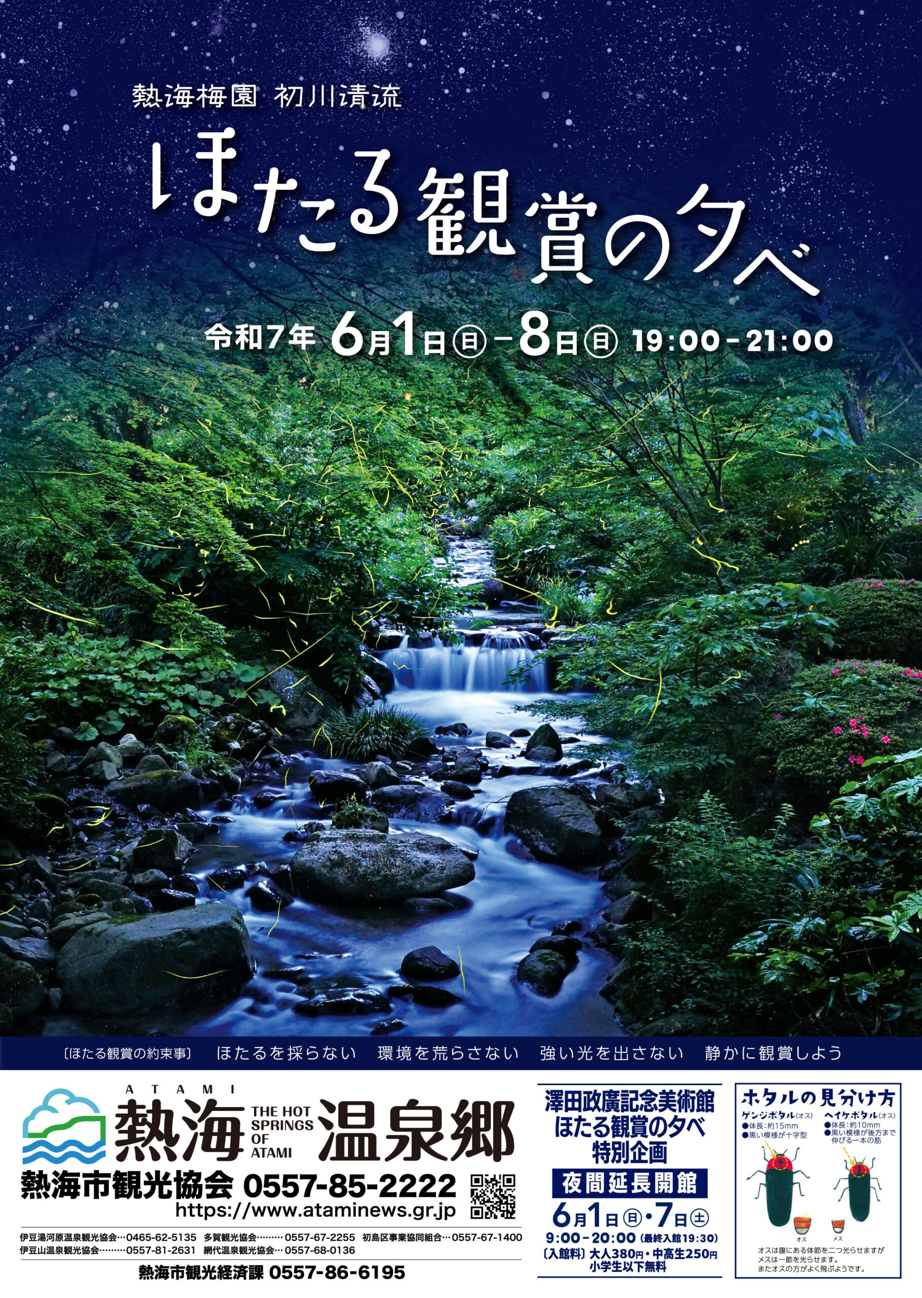 6月のおすすめイベント | イベント | 伊豆観光公式サイト 美伊豆 B-Izu