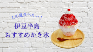 この夏食べたい！伊豆半島おすすめかき氷
