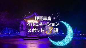 伊豆半島イルミネーションスポット3選（2025版）
