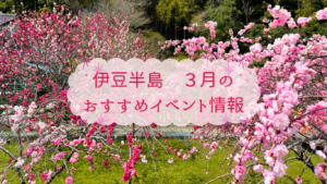 伊豆半島3月のおすすめイベント情報