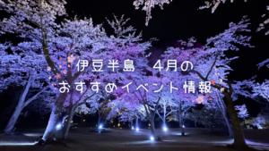 伊豆半島4月のおすすめイベント情報