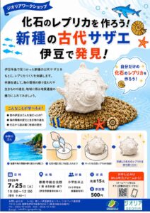 伊豆半島の化石をテーマに展示会及びワークショップを開催