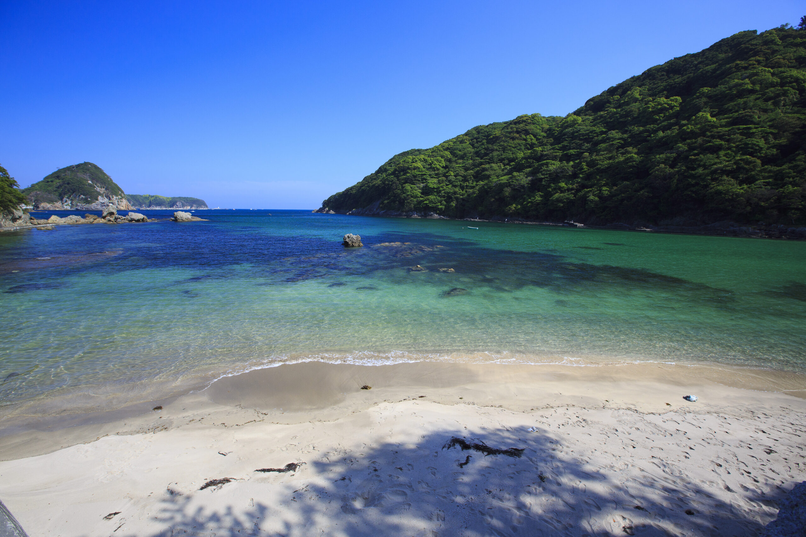 https://b-izu.com/wp-content/uploads/2026/07/05.鍋田-scaled.jpg
