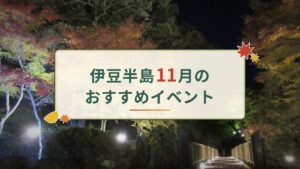 11月のおすすめイベント情報