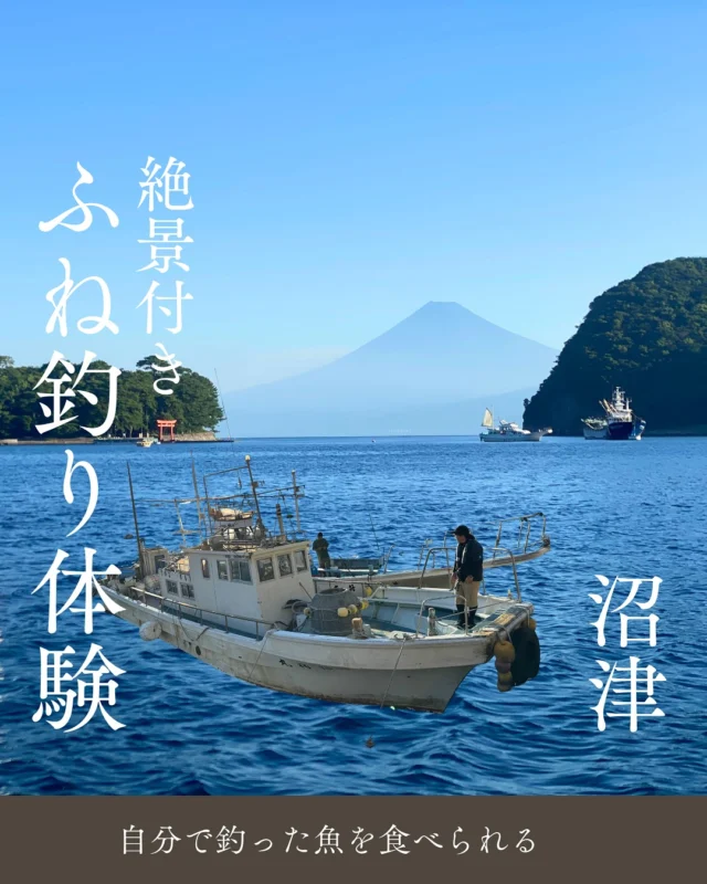 伊豆観光公式サイト 美伊豆 B-Izu