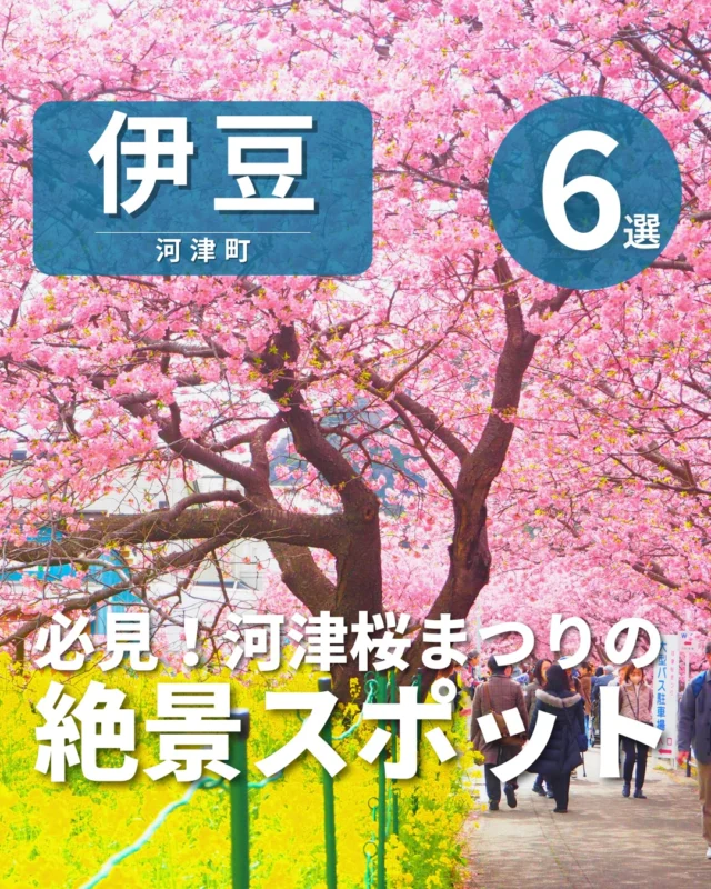 Official Izu Travel Guide 美伊豆 B-Izu