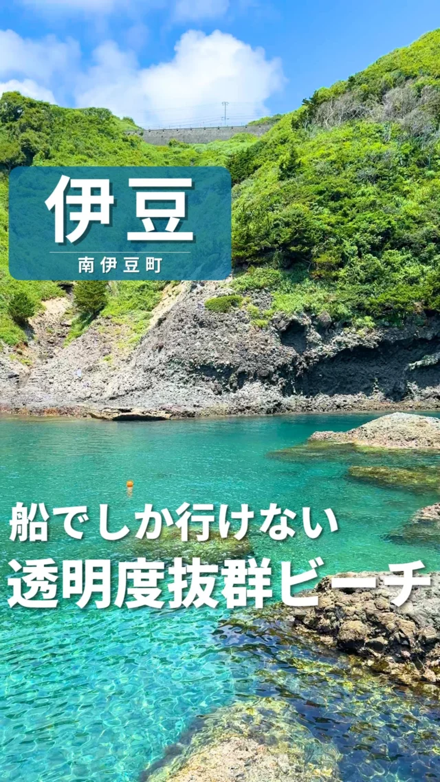 izu.ページ Official Izu Travel Guide 美伊豆 B-Izu